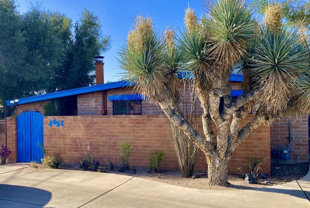 Casa Azul - Cute Centrally Located Adobe With Large Fenced Outdoor Living For Pets And Adults, Non-Smoking Tucson Exterior photo